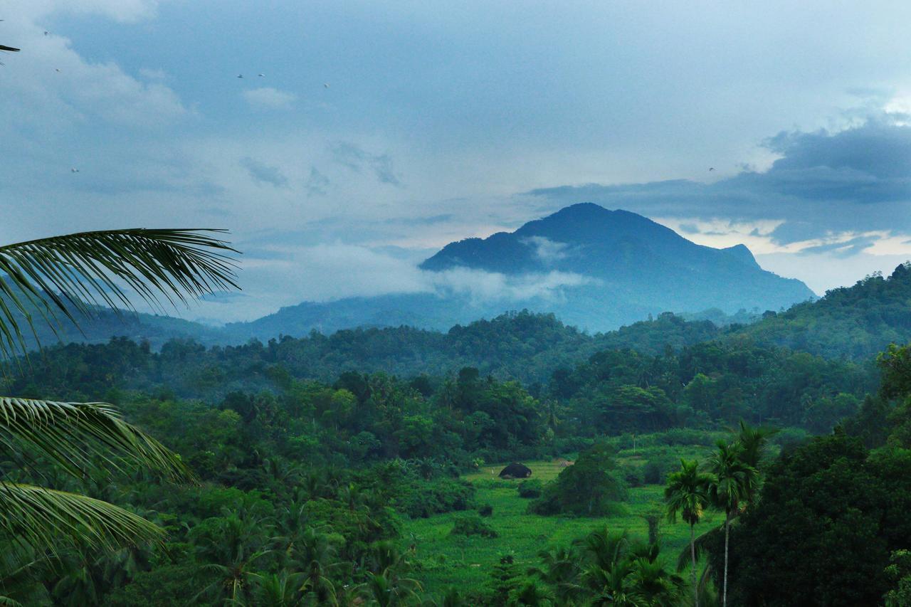Peak View Holiday Resort Ratnapura Exteriör bild